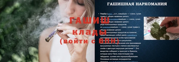 СК Верея