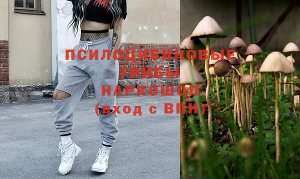 СК Верея