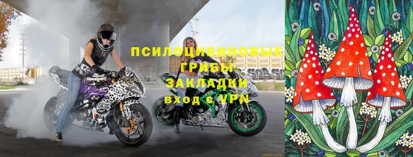 СК Верея