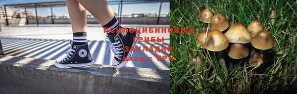 крисы Бугульма
