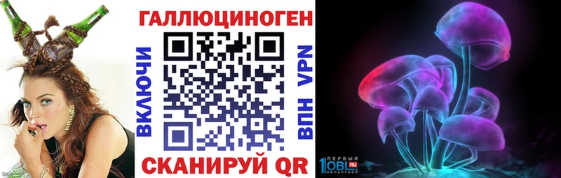 Галлюциногенные грибы Psilocybe  мега ссылки  Злынка  где купить наркотик 